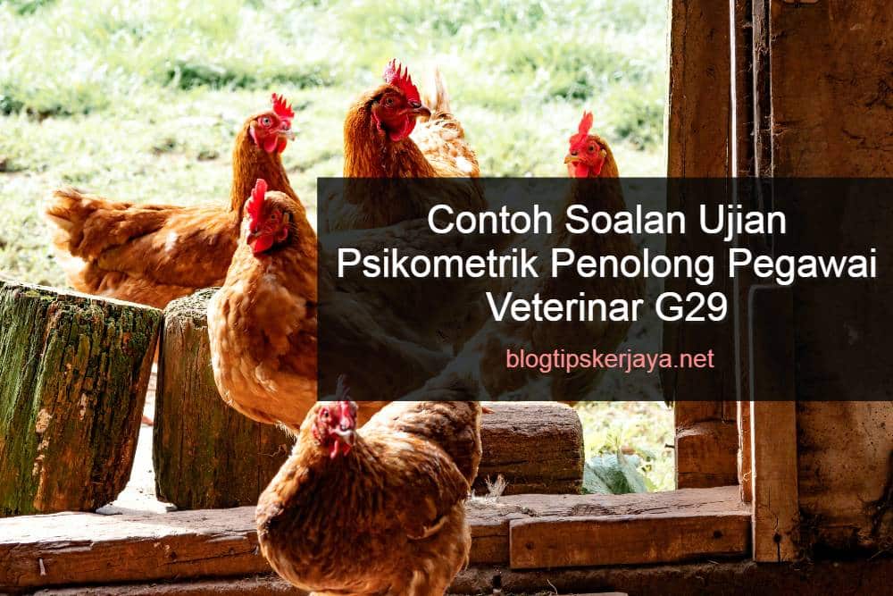 Contoh Soalan Ujian Psikometrik Penolong Pegawai Veterinar G5