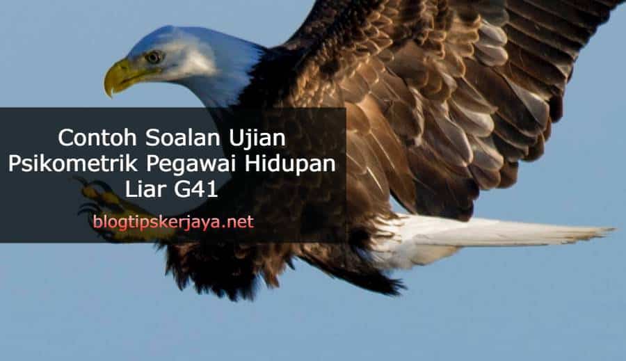 Contoh Soalan Ujian Psikometrik Pegawai Hidupan Liar G41